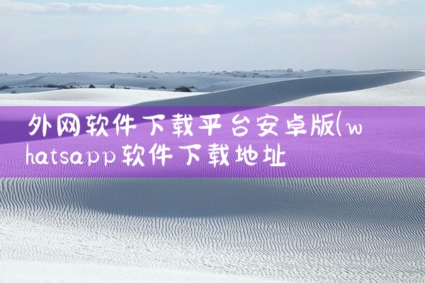 外网软件下载平台安卓版