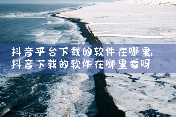 抖音平台下载的软件在哪里