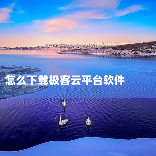 选择可视化工具使用专业工具（如Tableau、Power BI或极客云算平台）将清洗后的数据转化为图表。工具需支持...|