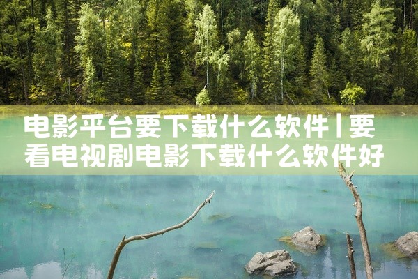 电影平台要下载什么软件