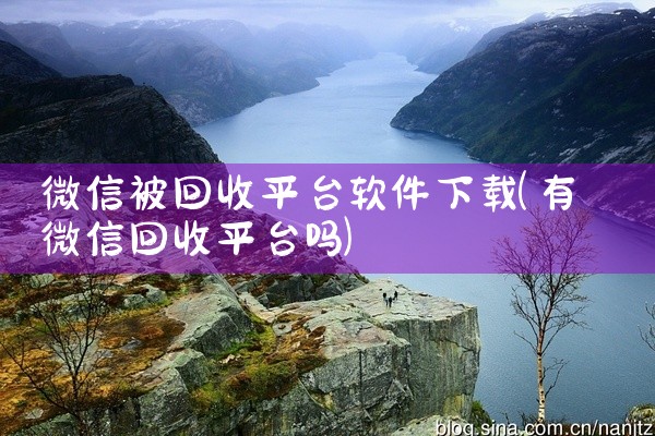 微信被回收平台软件下载