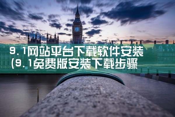 9.1网站平台下载软件安装